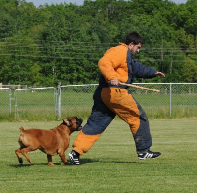 flee_attack