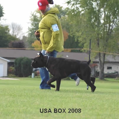 2008usabox3