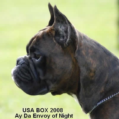 2008usabox9