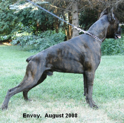 envoy5