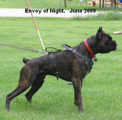 envoy8