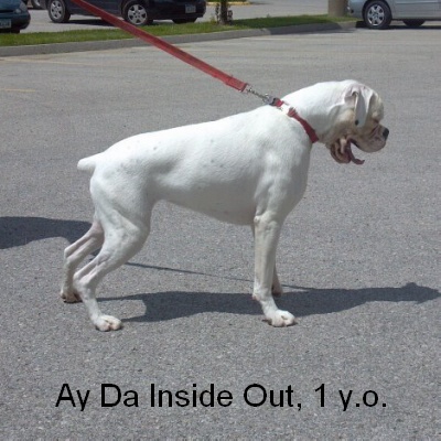 inside