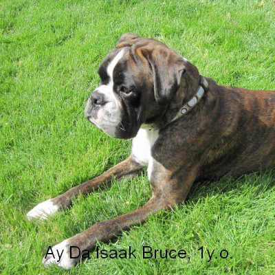 isaak1yo