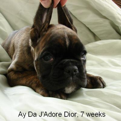 jadore02