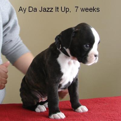 jazz06