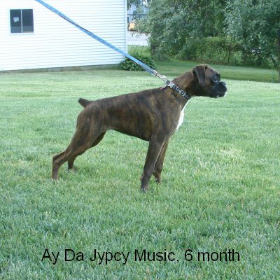 jypsy07