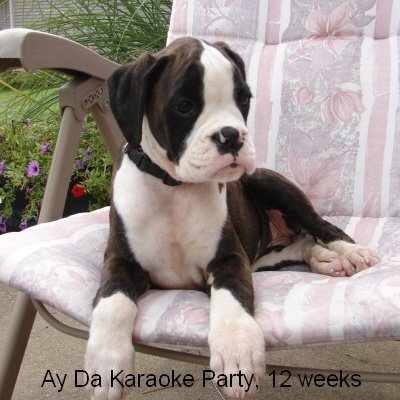 karaoke4