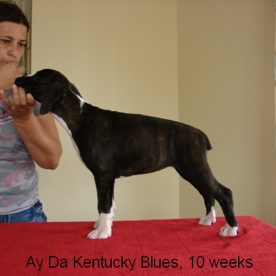 kentucky2