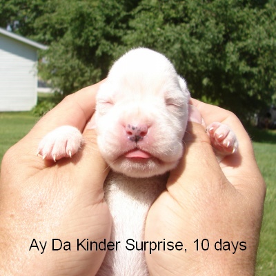 kinder1
