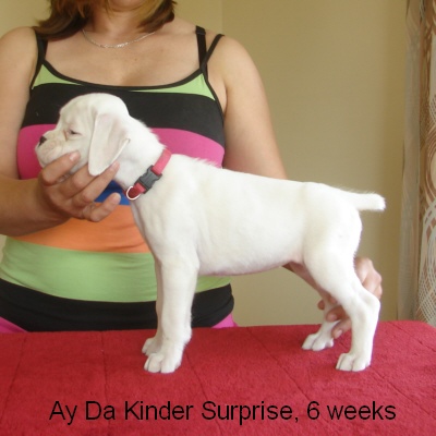 kinder2
