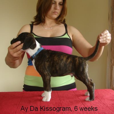 kissogram3