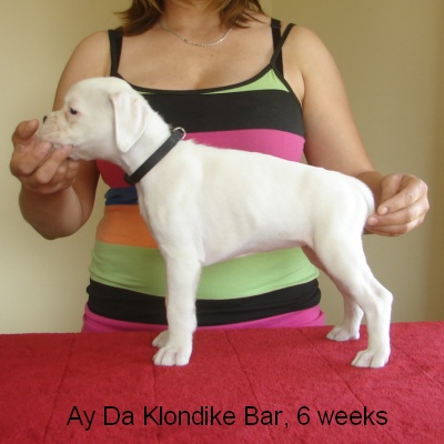 klondike3