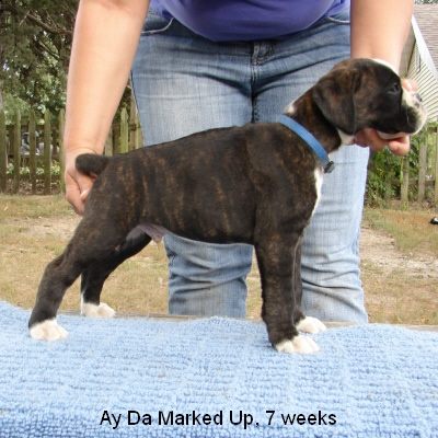 marked7w