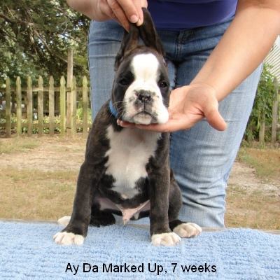 marked7w2