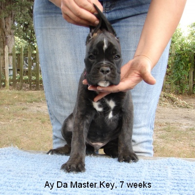 master7w2