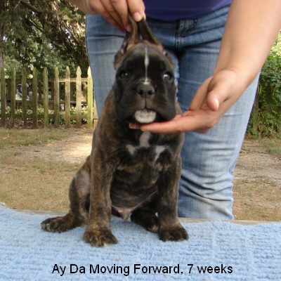 moving7w