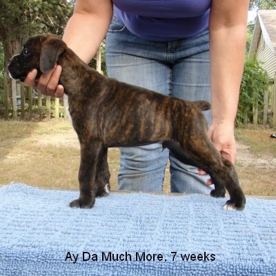 much7w2