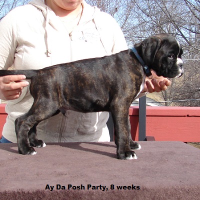 posh8w2