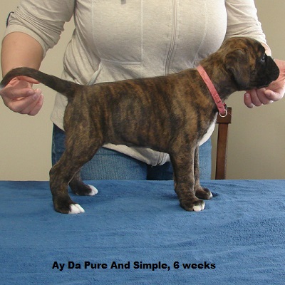 pure6w2