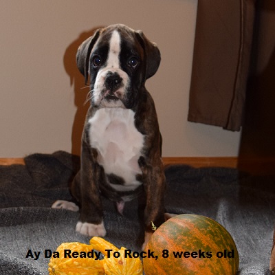 ready5