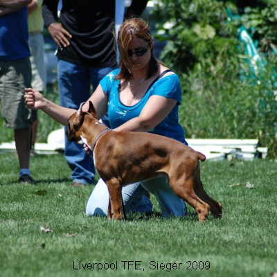 sieger2009-12