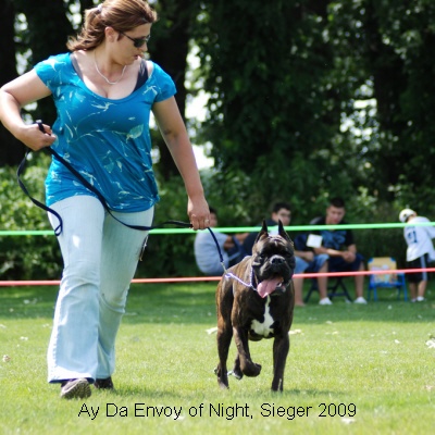 sieger2009-15