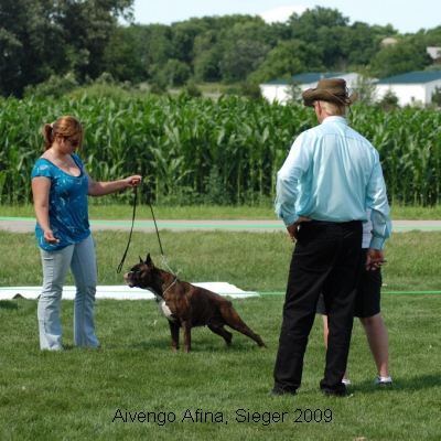 sieger2009-16