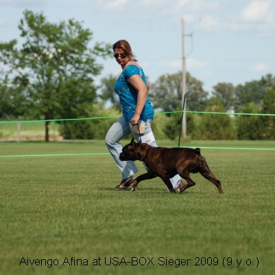 sieger2009-17