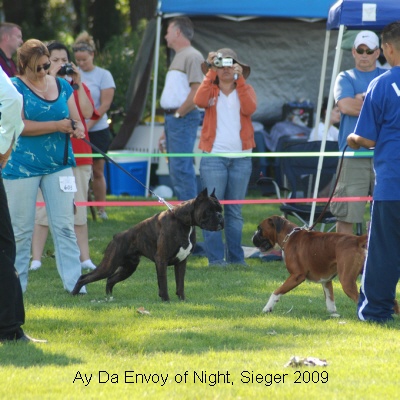 sieger2009-19