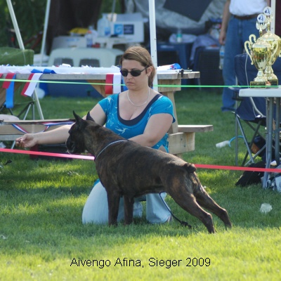 sieger2009-20