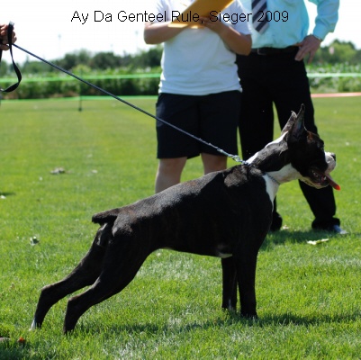 sieger2009-3