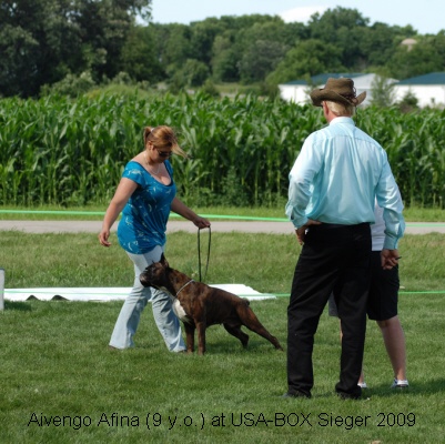 sieger2009-6