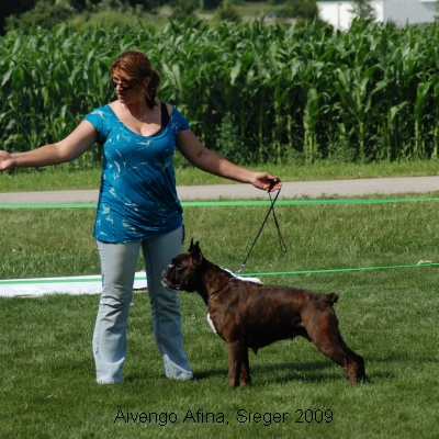 sieger2009-7