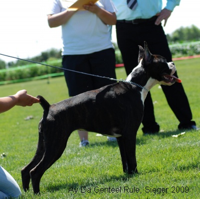 sieger2009-9