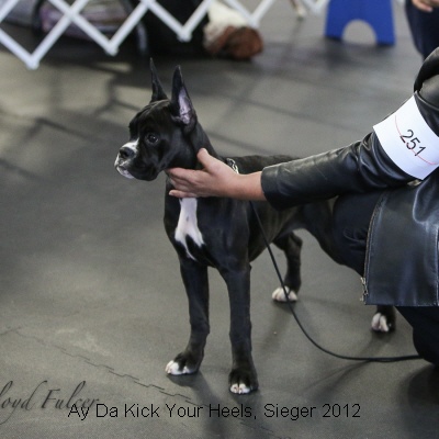 Sieger2012-1
