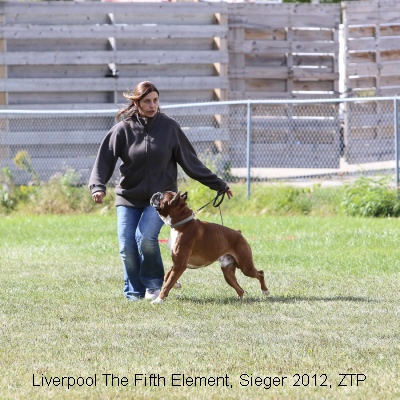 Sieger2012-11