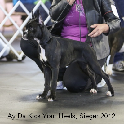 Sieger2012-13