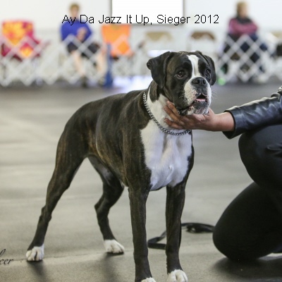Sieger2012-14