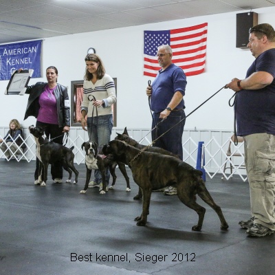 Sieger2012-20