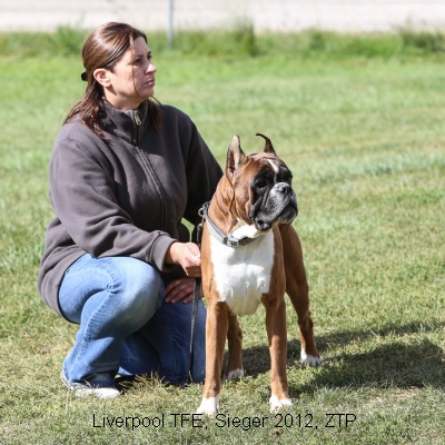 Sieger2012-21