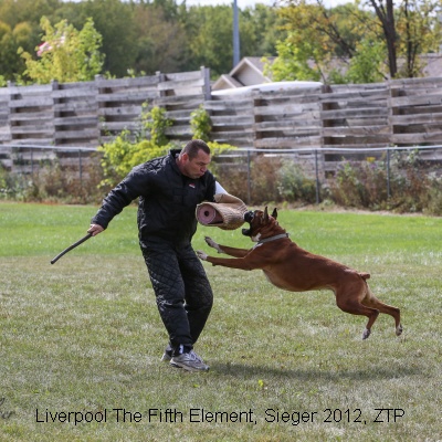 Sieger2012-9