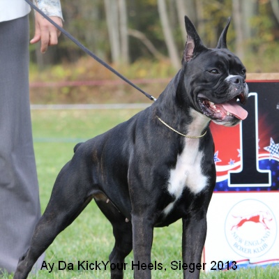 sieger13-10