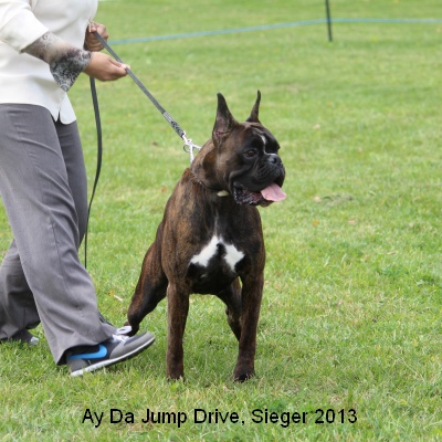 sieger13-15
