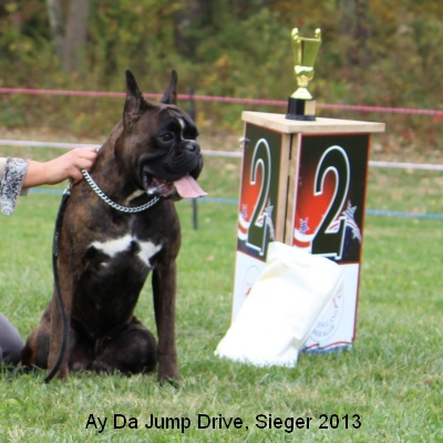 sieger13-16