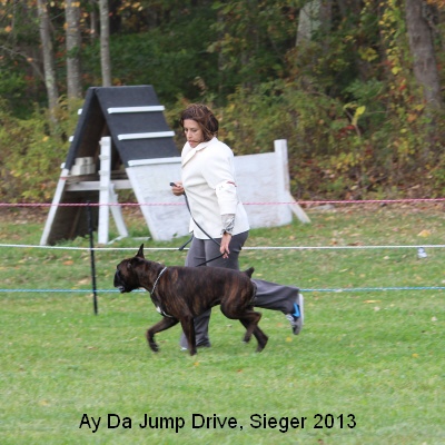 sieger13-17