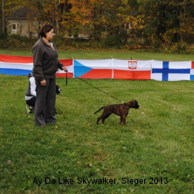 sieger13-4