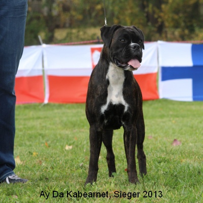sieger13-6