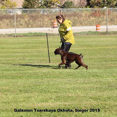sieger2015-13