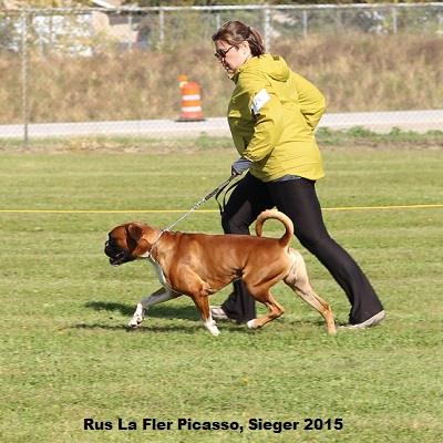 sieger2015-18