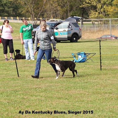 sieger2015-22